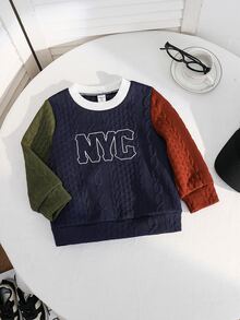 SHEIN Kids Young Boys Colorblock Sweatshirt, Comfortable Knitted Fabric, Casual Vacation And Commute Style,Fall Clothes,School - Multicolor - View 5