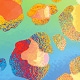 Multicolor