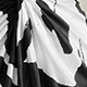 Black and White