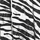Black and White