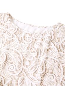 SHEIN Clasi Faux Lace Print Waist-Defining A-Line Cap Sleeve Dress - Apricot - View 9