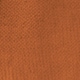 trái cam