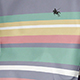 Multicolor