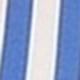 Blue and White