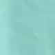 Mint Blue