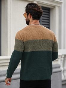 Manfinity Homme Old Money Men's Crew Neck Colorblock Casual Streetwear Everyday Long Sleeve Sweater Dark Green Vacation Beach Autumn - Green - View 2