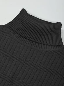 SHEIN Fiorisel New Arrival Slim Fit Turtleneck Knitted Fashion Pullover Sweater For Women, Autumn/Winter Fall - Black - View 9