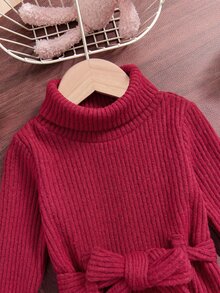 SHEIN 女嬰高領翻領收腰百褶連身長洋裝，彈性刷毛羅紋面料，適合冬季 - 酒紅色 - 查看 3