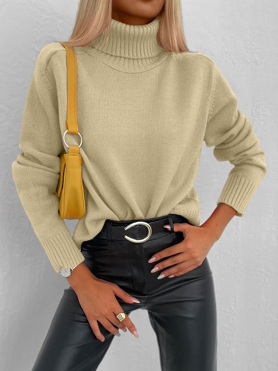 Cloudara Solid Turtleneck Sweater