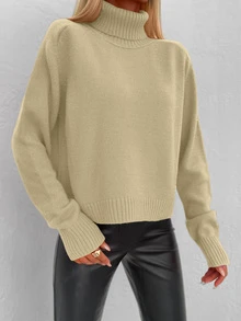 Cloudara Solid Turtleneck Sweater - Camel - View 5