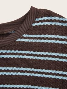 SHEIN LUNE Women's Crew Neck Pullover Long Sleeve Textured Sweatshirt, Versatile Casual For Back To School, Teacher, Commuting, Brown And Blue - Multicolor - View 3