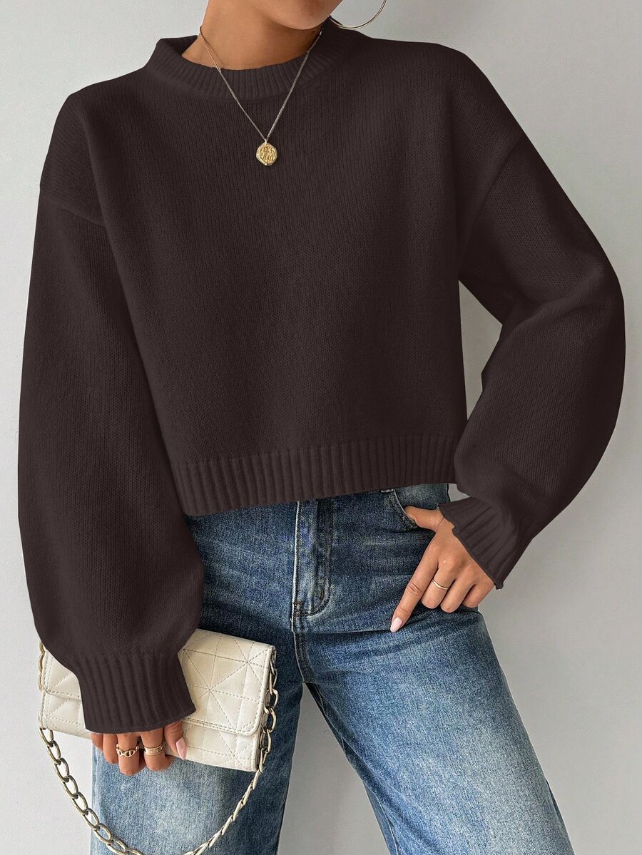 EMERY ROSE Women's Solid Color Simple Casual Crew Neck Long Sleeve White Sweater - Chocolate Brown - View 1