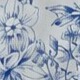 Blue and White