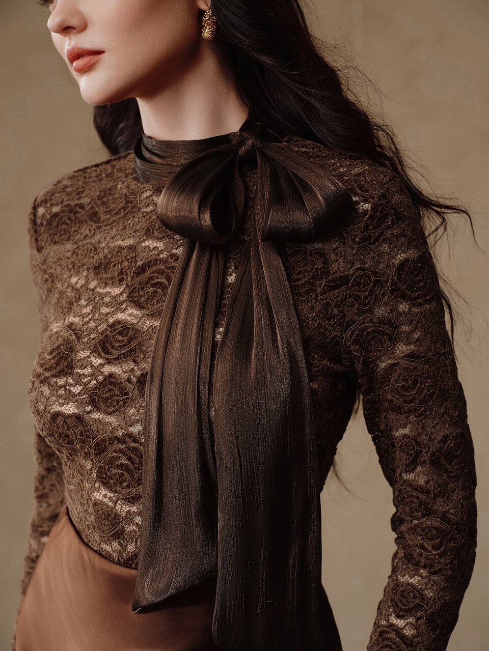 Women's New Autumn/Winter Elegant Hollow Lace Rose Bow Top, Suitable For Banquet, Party, Gathering