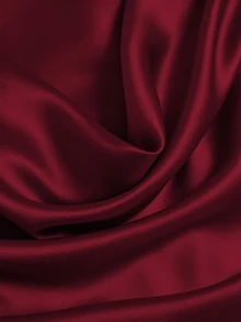 Elenzga New Draped Hem Ruffle Hem Casual Commuter Versatile Women's Shirt - Burgundy - View 4