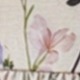 彩色