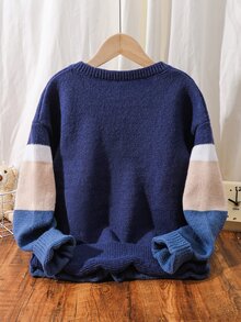 SHEIN 兒童青少年男孩休閒韓風半開領圓領毛衣，適合通勤、上學、日常穿著、休閒外出、運動，秋冬款 - 藍色 - 查看 6