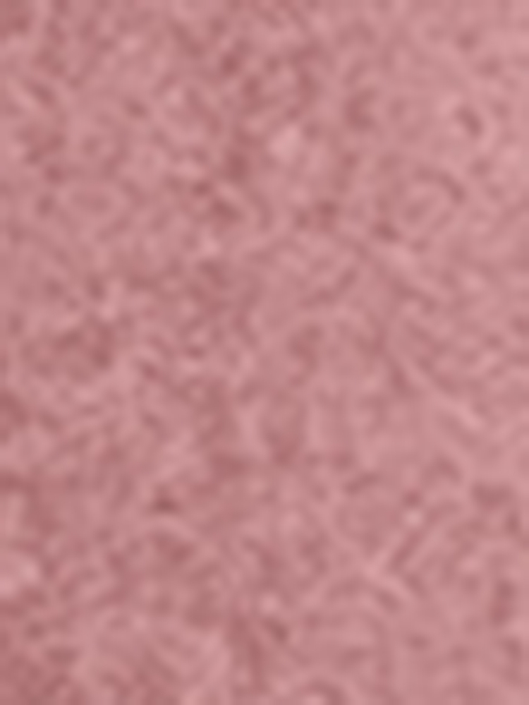 SHEIN Women's Spring And Autumn Casual Jacket With Lapel Collar, Zipper Closure And Long Sleeve Fall Winter Cloth For Women - Dusty Pink - View 10
