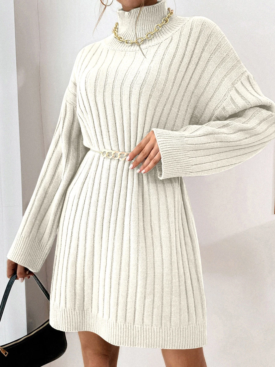 SHEIN Autumn/Winter Casual Solid Color High Neck Knit Dress - White - View 1