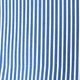 Blue and White