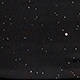 الأسود