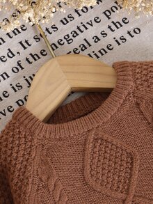 SHEIN Vintaside Kids 1 Stück Herbst/Winter Karamellfarbener Jungen Zopfstrick Pullover, Baby/Kleinkind Rundhals Raglan Langarm Vintage Zopf Weich Pullover Top, Baby Oberbekleidung Basisschicht Strickpullover - Kaffeebraun - Übersicht 7