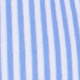 Blue and White