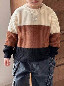 SHEIN Little Byeori 兒童青少年男孩休閒韓系學院風圓領針織衫，適合通勤、上學、日常穿著、休閒外出、運動，秋冬款 - 棕色 - 查看 6
