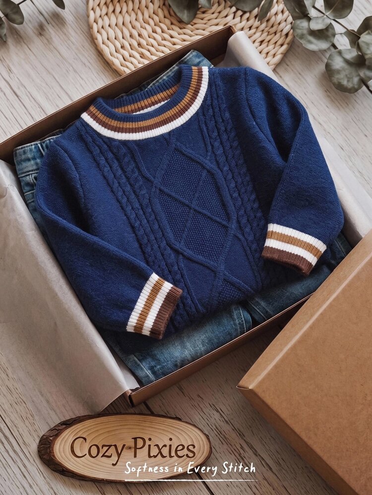 Cozy Pixies Kids Young Boy Colorblock Striped Knit Soft 3D Cable Texture Crew Neck Long Sleeve Pullover Autumn Sweater - Navy Blue - View 1