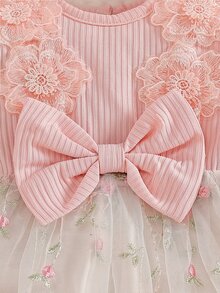 SHEIN 2件組新生女嬰公主風可愛甜美粉色3D花朵蝴蝶結網紗刺繡長袖圓領常規款生日派對秋季假期芭蕾舞裙洋裝 - 淺粉色 - 查看 6