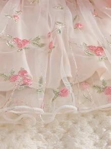 SHEIN 2件組新生女嬰公主風可愛甜美粉色3D花朵蝴蝶結網紗刺繡長袖圓領常規款生日派對秋季假期芭蕾舞裙洋裝 - 淺粉色 - 查看 9