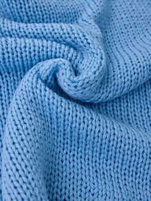 SHEIN Chunky Crew Neck Casual Blue Knit Sweater - Blue - View 6