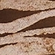 متعدد الألوان