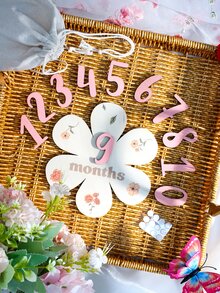 SHEIN Newborn Baby Girl Milestone Numbers Wooden Board Cute Dusty Pink White Coordinated Effortless Boys Girls School Set Photography Prop Autumn - Multicolor - View 8