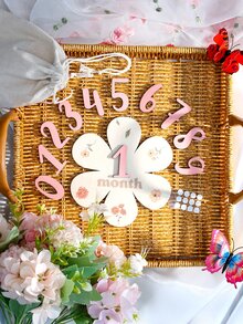 SHEIN Newborn Baby Girl Milestone Numbers Wooden Board Cute Dusty Pink White Coordinated Effortless Boys Girls School Set Photography Prop Autumn - Multicolor - View 5