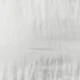 Aprikot