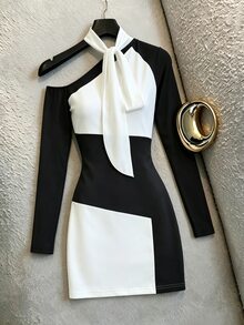 SHEIN Franclia Fall/Winter Women's New Style French High-Class Style, Multi-Color Slightly A-Line Sleeveless Long-Sleeved Dress, Light And Mature Style Sexy A-Line S - Black and White - View 4