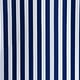 Blue and White