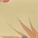 彩色