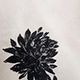 彩色