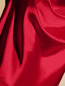 SHEIN Rosurelle 优雅纯色荷叶边领衬衫，夏季 - 紅色 - 查看 4