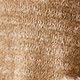 Unta