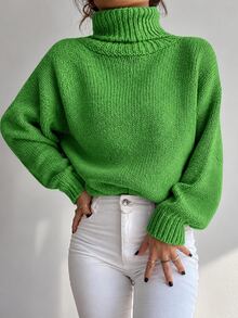 SHEIN Cottnline Turtleneck Raglan Sleeve Jumper - Green - View 4
