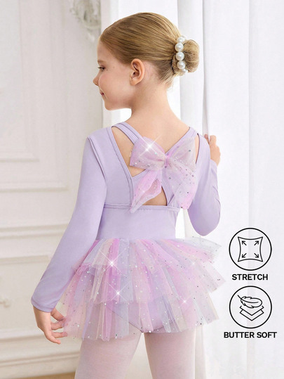 Young Girls Ballet Dress, Long Sleeve Ombre Mesh Tutu Dress, Children's Gradient Color Leotard Dancewear, Fall Winter, Autumn, Back To School, Gym