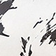 黑與白
