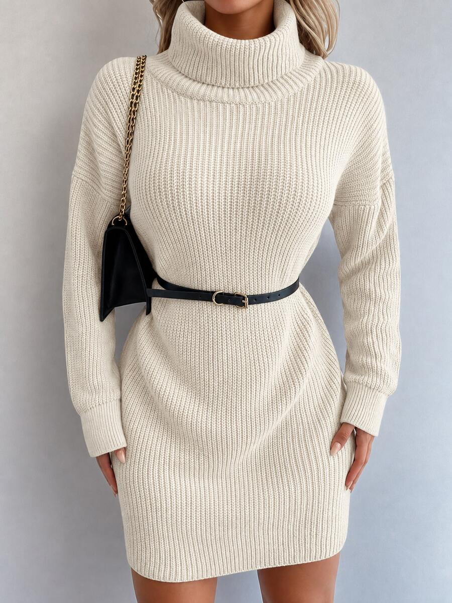EURMUSE Ladies Casual Simple Turtle Neck Long Sleeve Sweater Dress