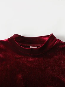 SHEIN 女童大童秋冬優雅奢華小立領泡泡長袖拼接抓皺大裙襬天鵝絨洋裝 派對禮服 正式洋裝 萬聖節聖誕新年洋裝 酒紅色 - 酒紅色 - 查看 4