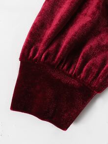 SHEIN 女童大童秋冬優雅奢華小立領泡泡長袖拼接抓皺大裙襬天鵝絨洋裝 派對禮服 正式洋裝 萬聖節聖誕新年洋裝 酒紅色 - 酒紅色 - 查看 5