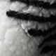Black and White
