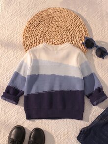 SHEIN 男嬰拼色長袖圓領休閒百搭針織衫 - 藍色 - 查看 2
